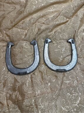Royal Worcester Silver Horseshoe Pair